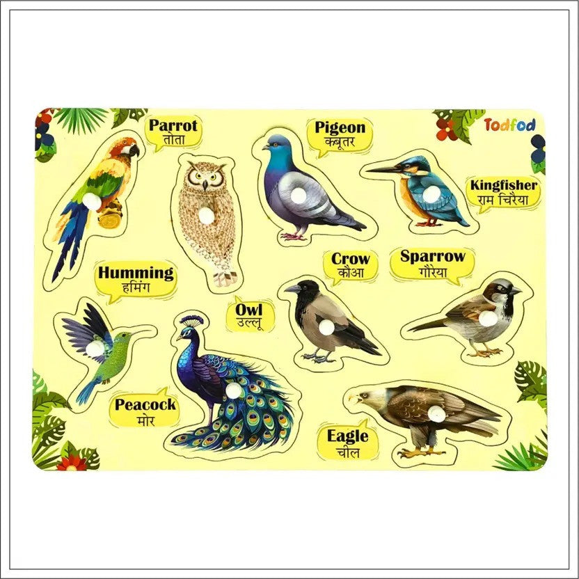 Educational chart with illustrations of various birds and their names in both English and Hindi.