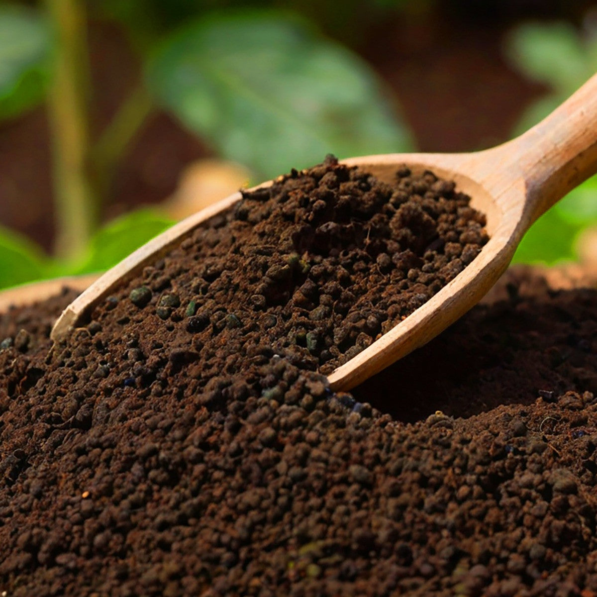 Vermicompost 5kg 100% Natural Organic Fertilizer for Plants | Nutrient-Rich Compost for Home Garden | Improves Plant Health, Water Retention & Soil Quality | Ideal for All Gardening Needs