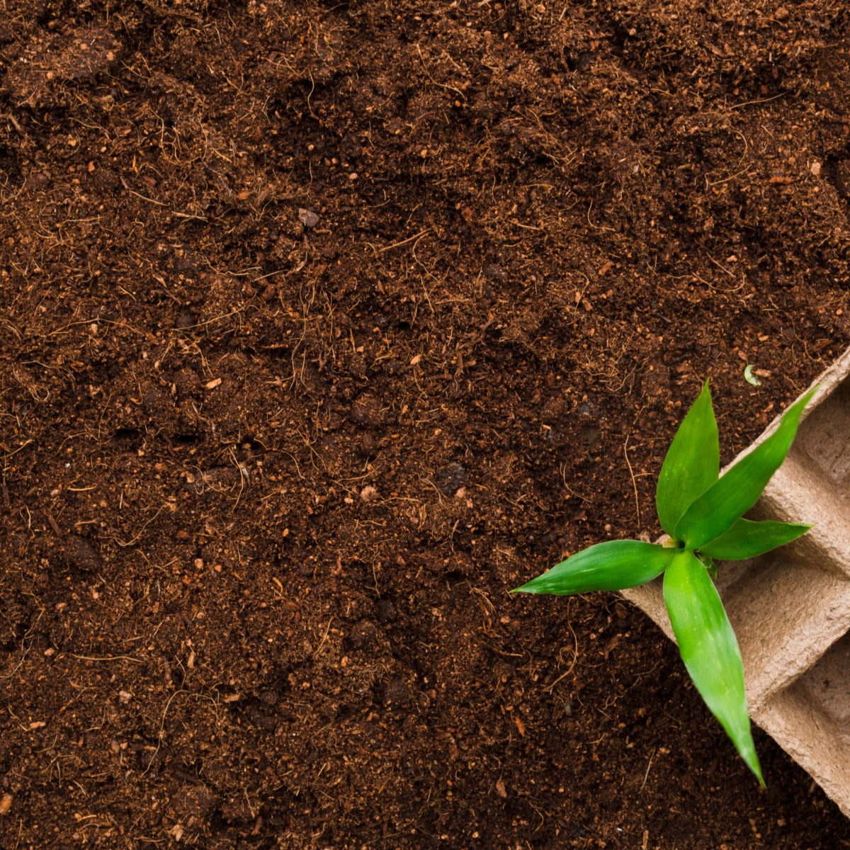 Vermicompost 5kg 100% Natural Organic Fertilizer for Plants | Nutrient-Rich Compost for Home Garden | Improves Plant Health, Water Retention & Soil Quality | Ideal for All Gardening Needs