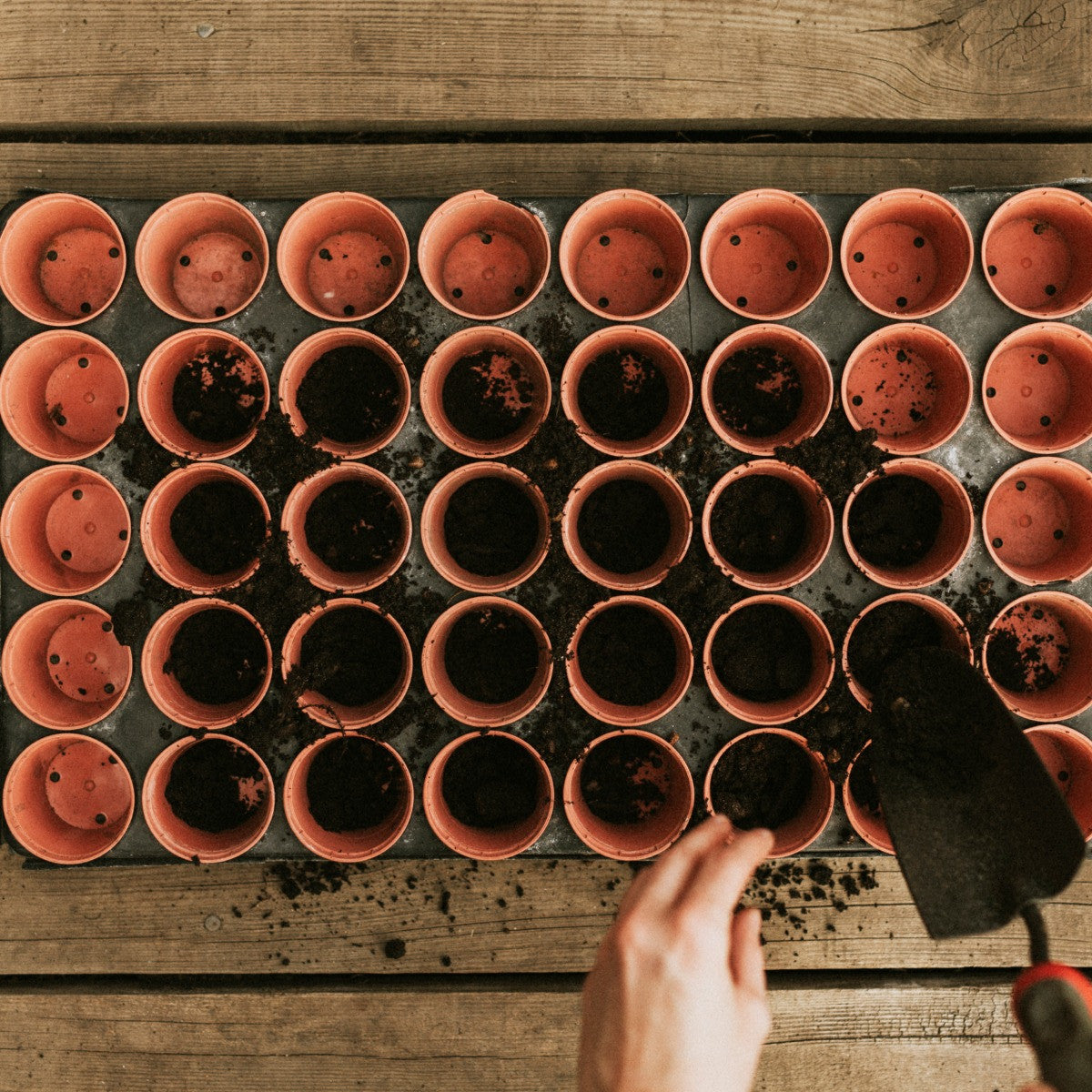 Terracotta pots with soil on a wooden table, with a hand and trowel.