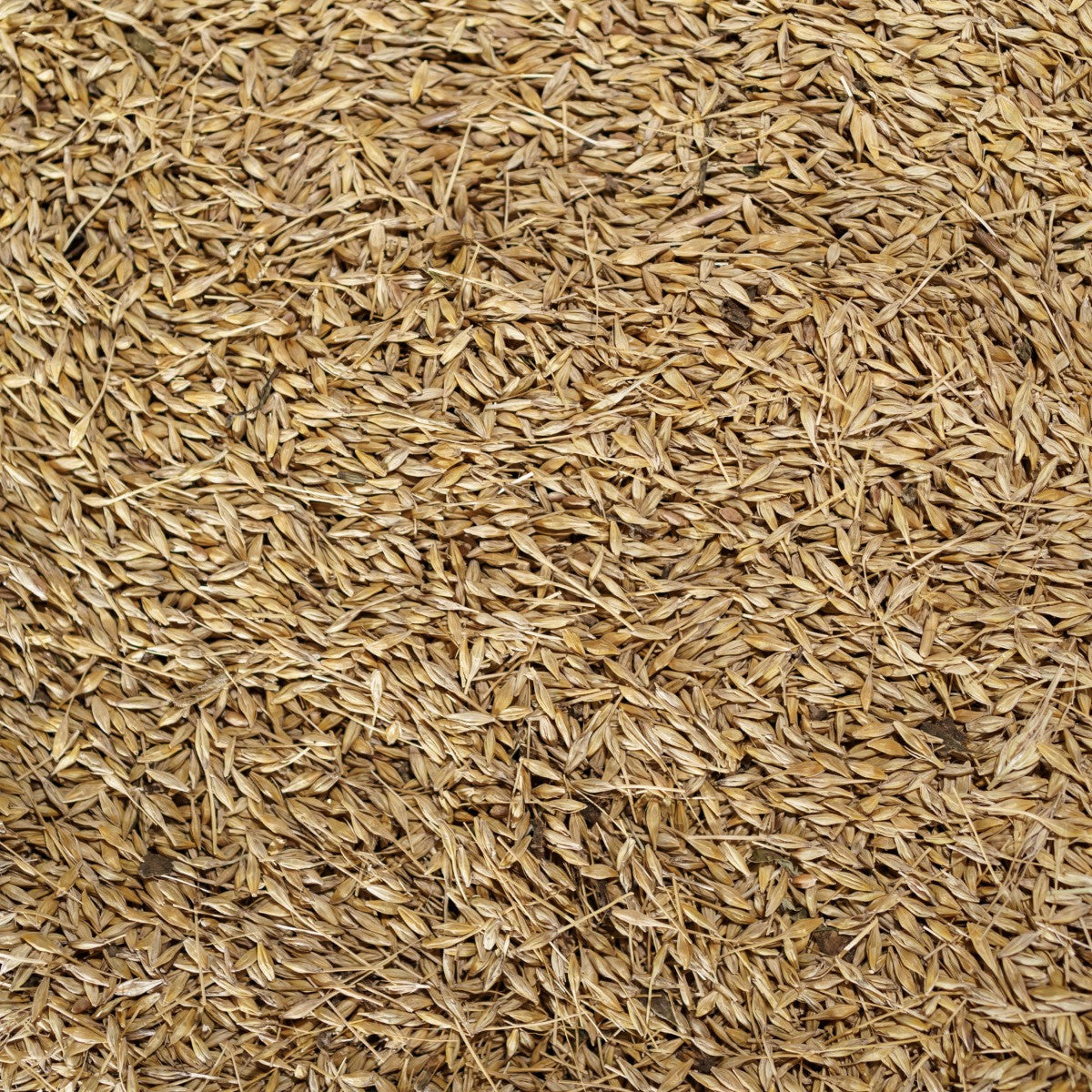 Rice Hulls (Husk) | Organic Rice Paddy Husk for Gardening | Rice Husk for Gardening, Ideal Soil Mix and Mulching | Potting Mix or beding - Organic Plant Rice Husk (500 Grams)