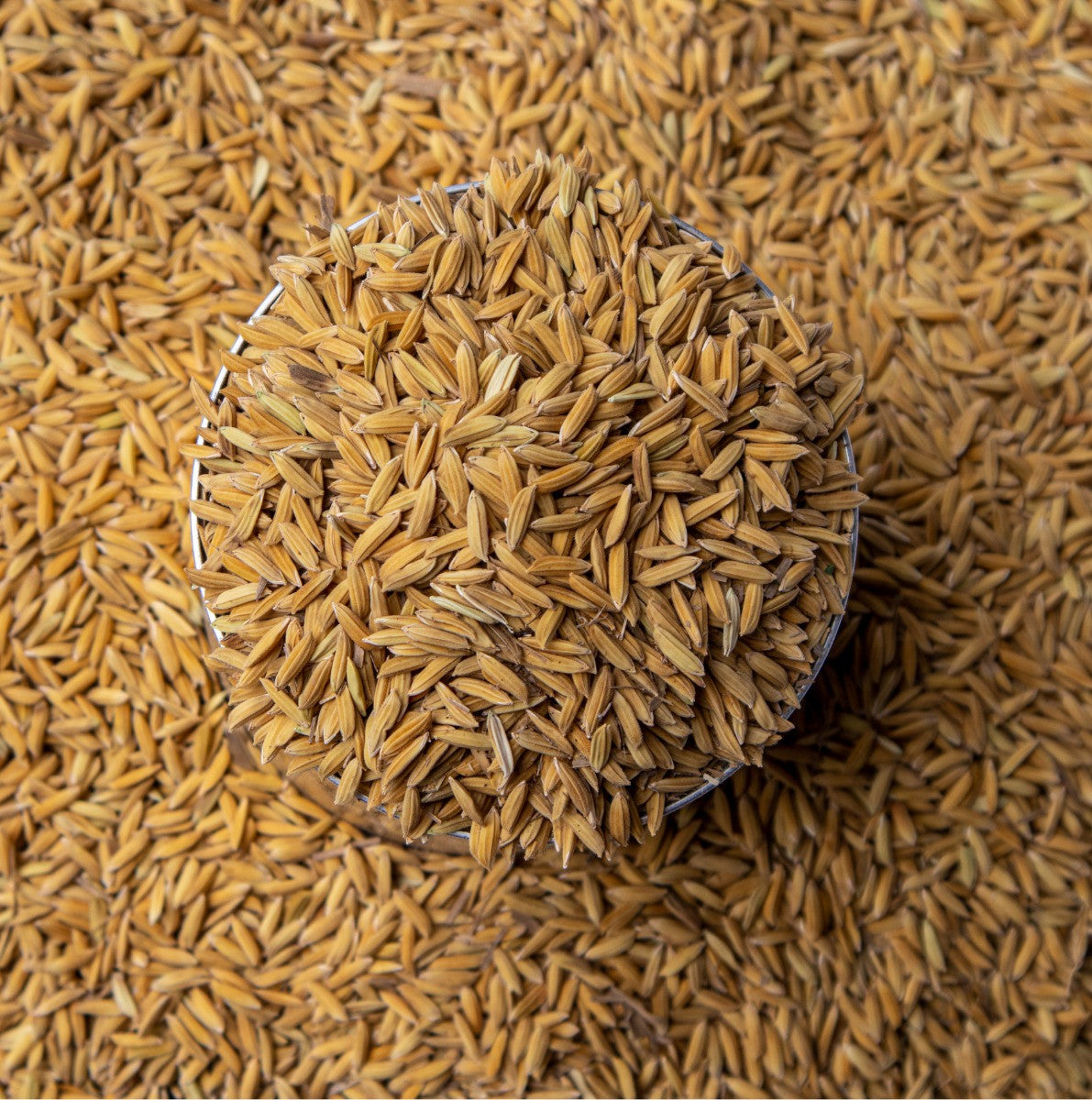 Rice Hulls (Husk) | Organic Rice Paddy Husk for Gardening | Rice Husk for Gardening, Ideal Soil Mix and Mulching | Potting Mix or beding - Organic Plant Rice Husk (500 Grams)