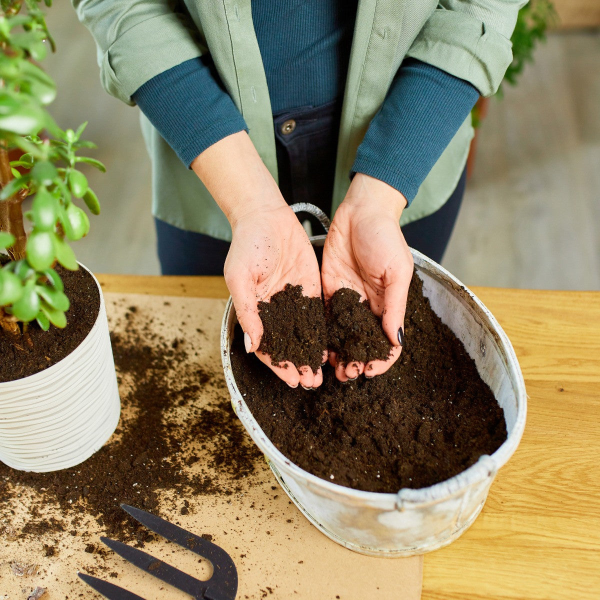 Organic Potting Garden Soil Mix for Plants Home Garden 1Kg 5 g