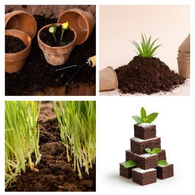Cocopeat Bricks - 5 KG (Expands Upto 75 litres, 10.5 x 15 cm) - Organic Fertilizer and Soil Manure Potting Mixture for Home Gardening and Potted Plants