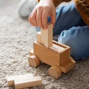 What toys should Toddlers (1-3 years) play with?