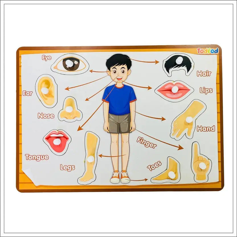 Educational chart with body parts labeled and a child illustration, featuring the brand 'Toddfed'.