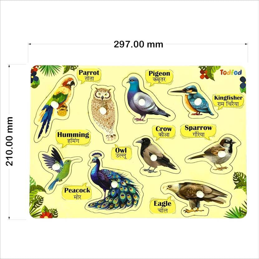Educational chart with illustrations of various birds and their names on a yellow background.