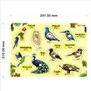 Sheet of stickers with various birds on a yellow background