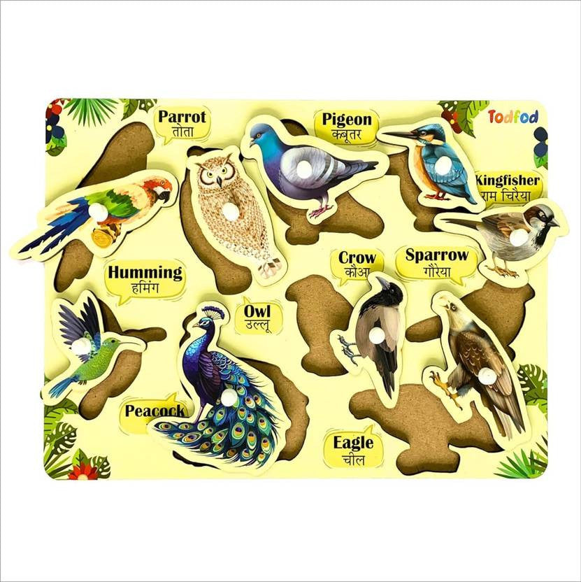 Educational puzzle with illustrations of various birds and their names in both English and Hindi.