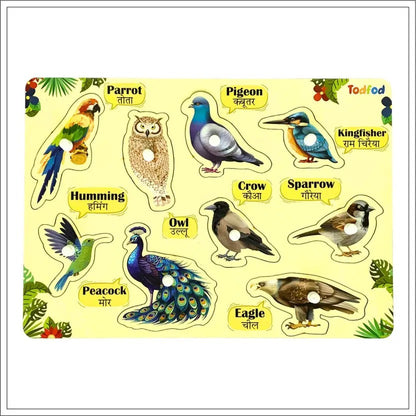 Educational chart with illustrations of various birds and their names in both English and Hindi.