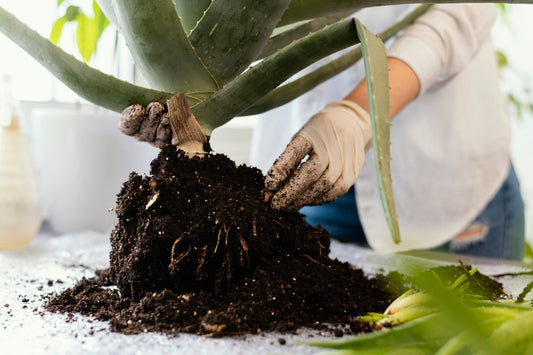 Potting Mix-5 KG