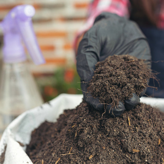Vermicompost 5kg 100% Natural Organic Fertilizer for Plants | Nutrient-Rich Compost for Home Garden | Improves Plant Health, Water Retention & Soil Quality | Ideal for All Gardening Needs
