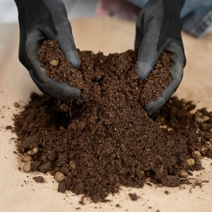Vermicompost 5kg 100% Natural Organic Fertilizer for Plants | Nutrient-Rich Compost for Home Garden | Improves Plant Health, Water Retention & Soil Quality | Ideal for All Gardening Needs