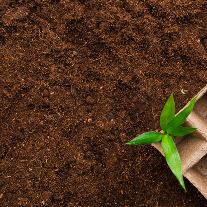Vermicompost 5kg 100% Natural Organic Fertilizer for Plants | Nutrient-Rich Compost for Home Garden | Improves Plant Health, Water Retention & Soil Quality | Ideal for All Gardening Needs