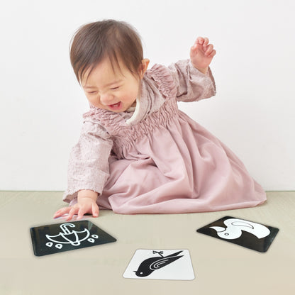 Todfod Baby Visual Card set of 60 High contrast pictures