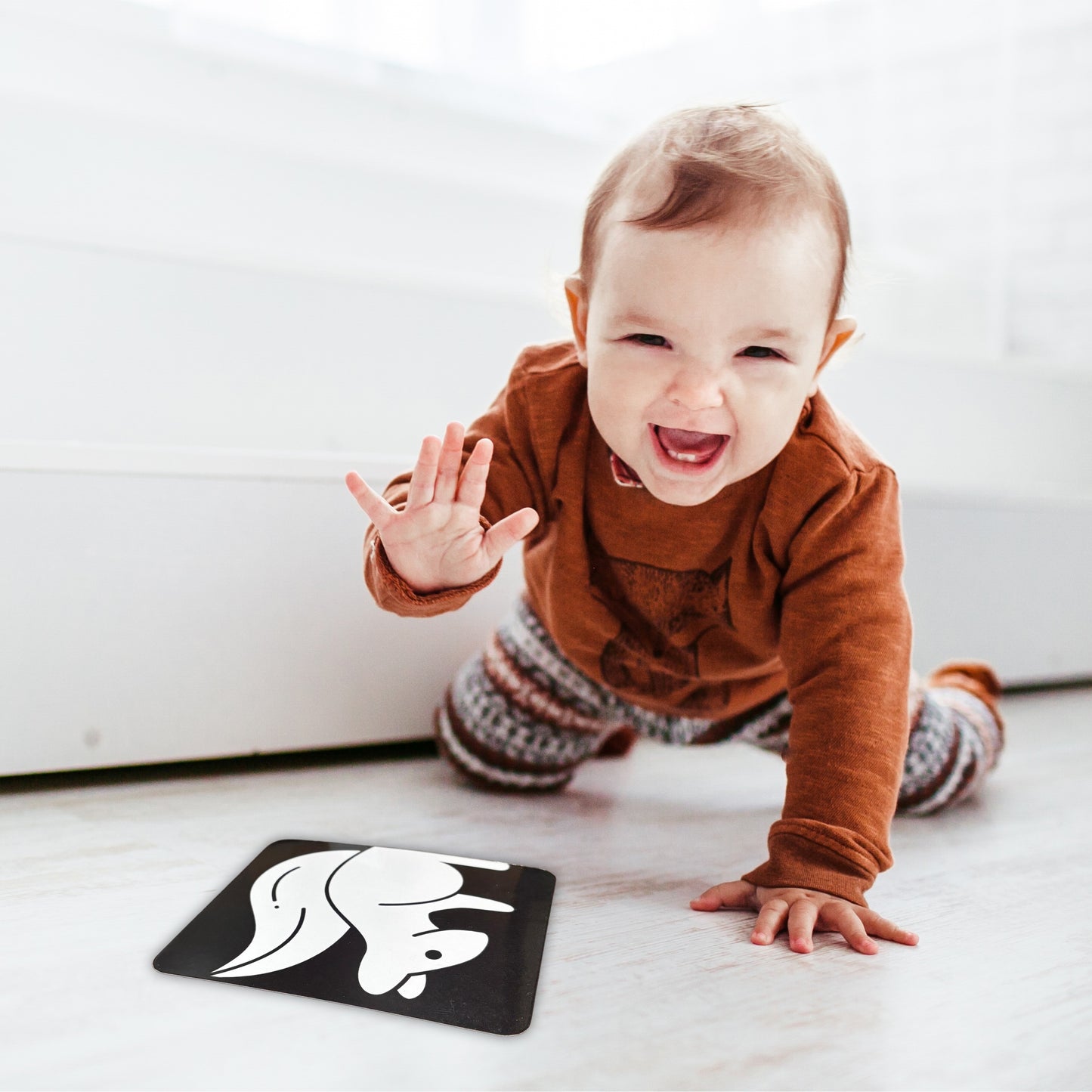 Todfod Baby Visual Card set of 60 High contrast pictures