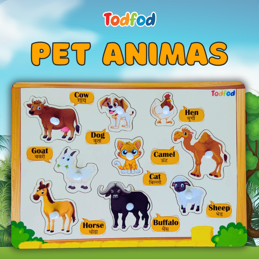 Educational board with animal stickers and labels on a colorful background