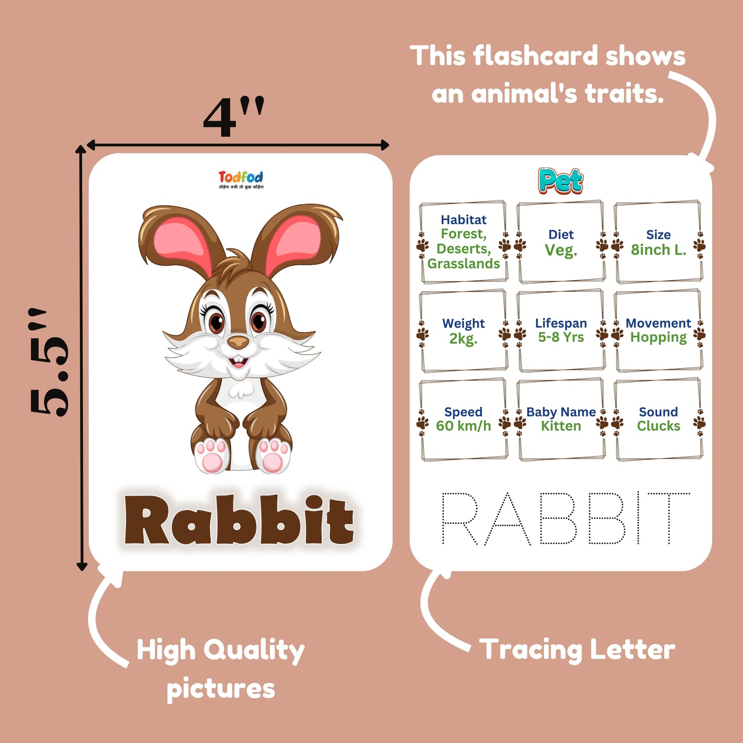Todfod Re-writable Smart Knowledge Flash Cards for Kids, Educational Early Learning Toy for Toddlers, Preschool, Nursery, and Kindergarten (Animal)