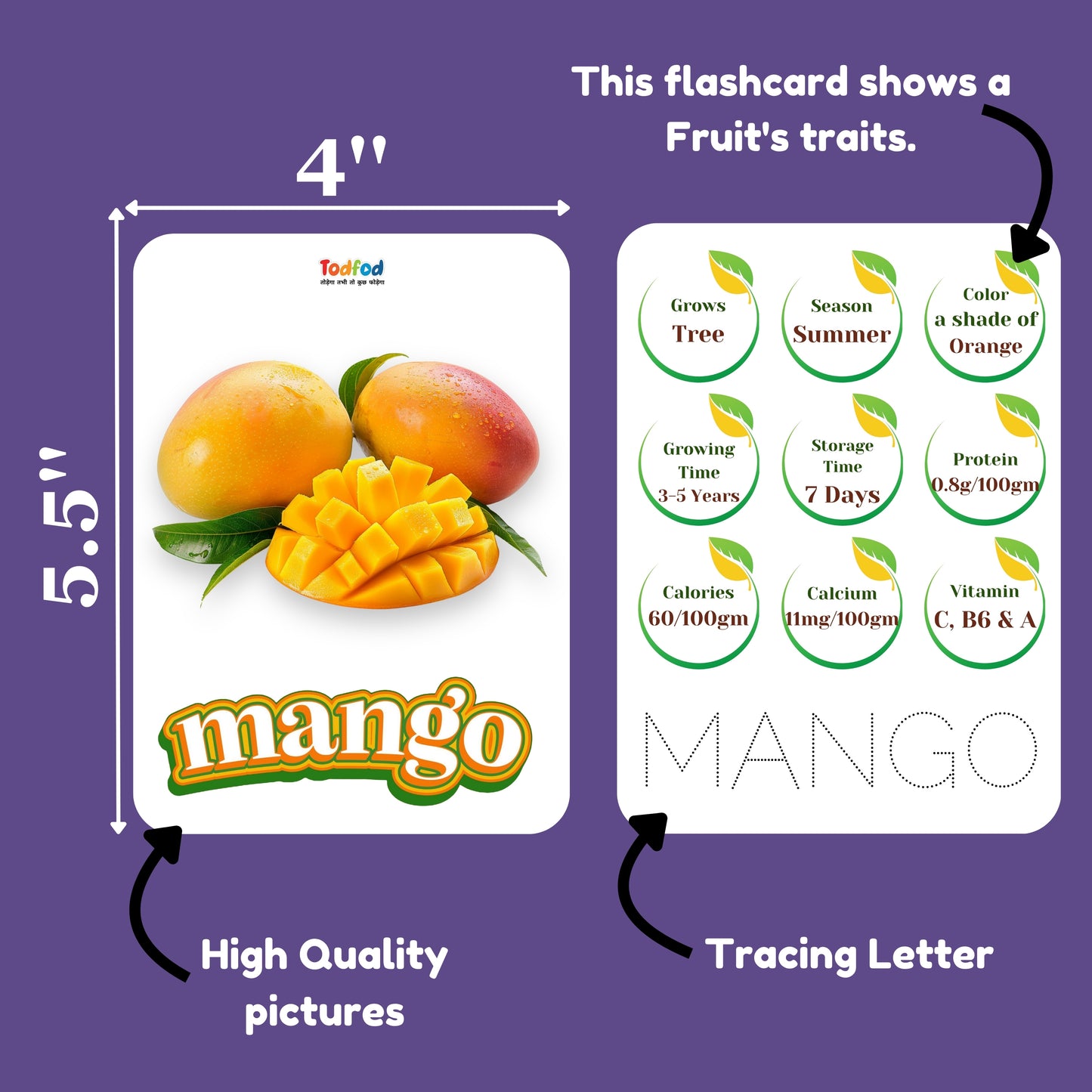 Todfod Early Learn Fruits Flash Cards for Kids
