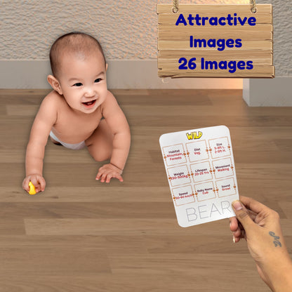 Todfod Re-writable Smart Knowledge Flash Cards for Kids, Educational Early Learning Toy for Toddlers, Preschool, Nursery, and Kindergarten (Alphabets, Numbers & Animals)