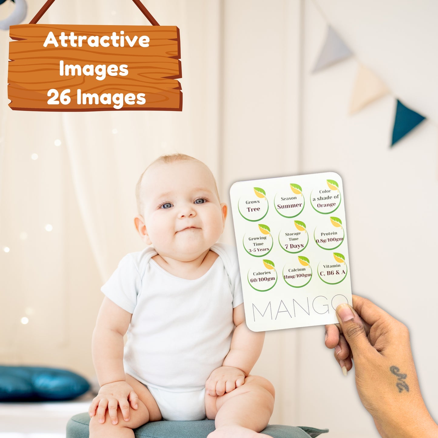 Todfod Early Learn Fruits Flash Cards for Kids