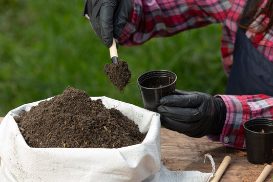 Potting Mix-1 KG