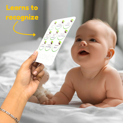 Todfod Early Learn Fruits Flash Cards for Kids