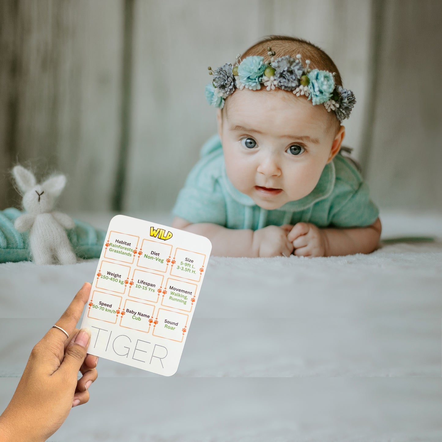 Todfod Re-writable Smart Knowledge Flash Cards for Kids, Educational Early Learning Toy for Toddlers, Preschool, Nursery, and Kindergarten (Alphabets , Animal & fruits)