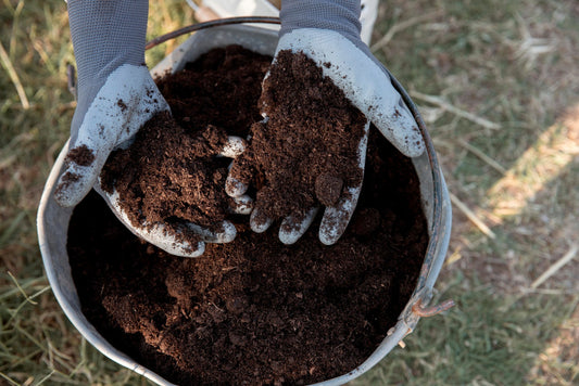 Potting Mix-25 KG