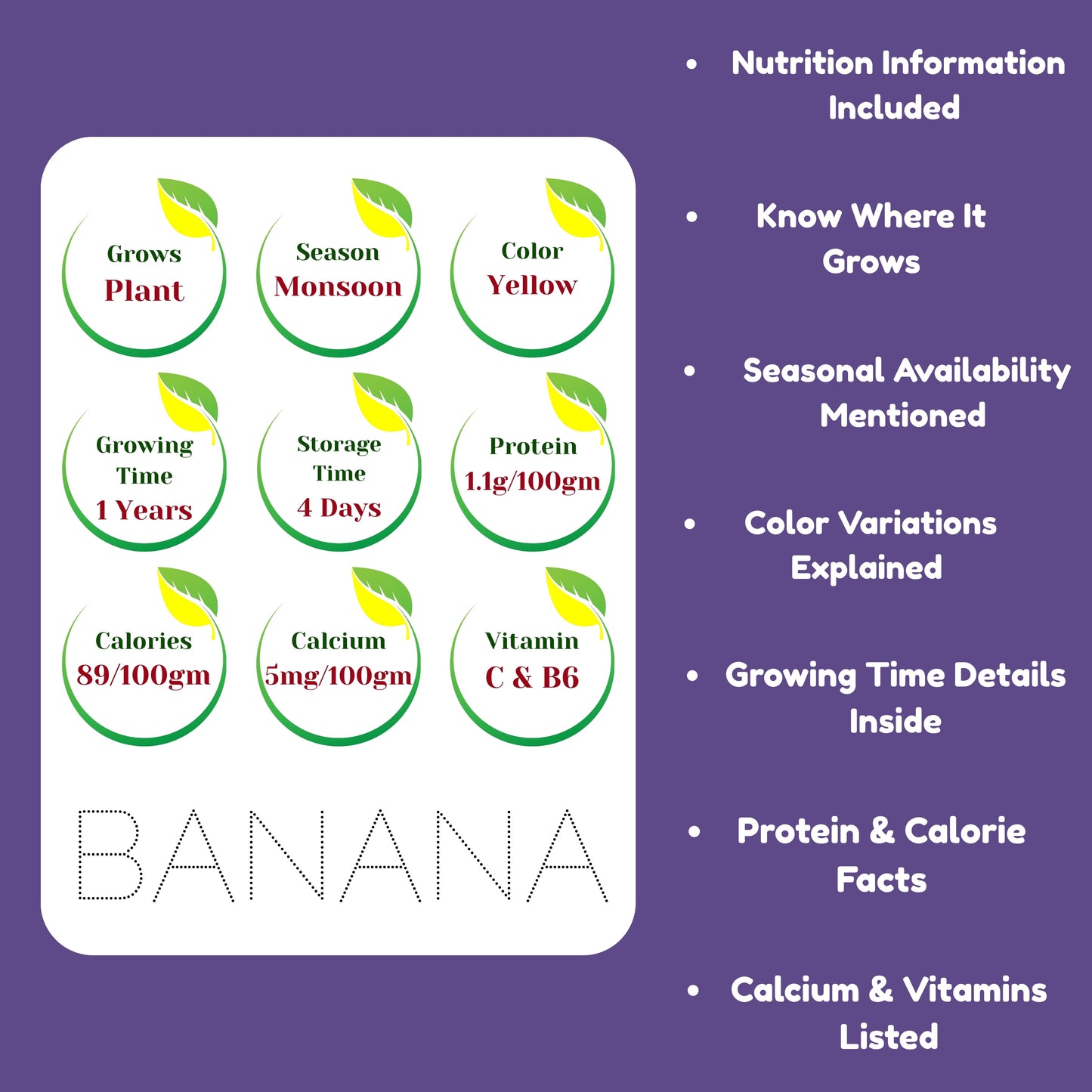 Todfod Early Learn Fruits Flash Cards for Kids