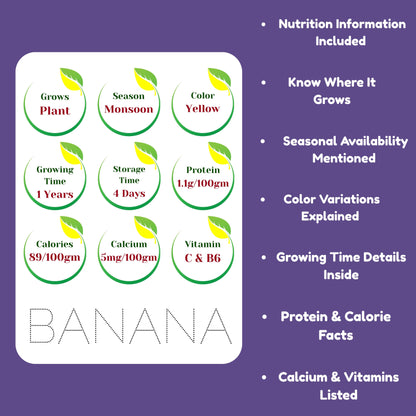 Todfod Early Learn Fruits Flash Cards for Kids