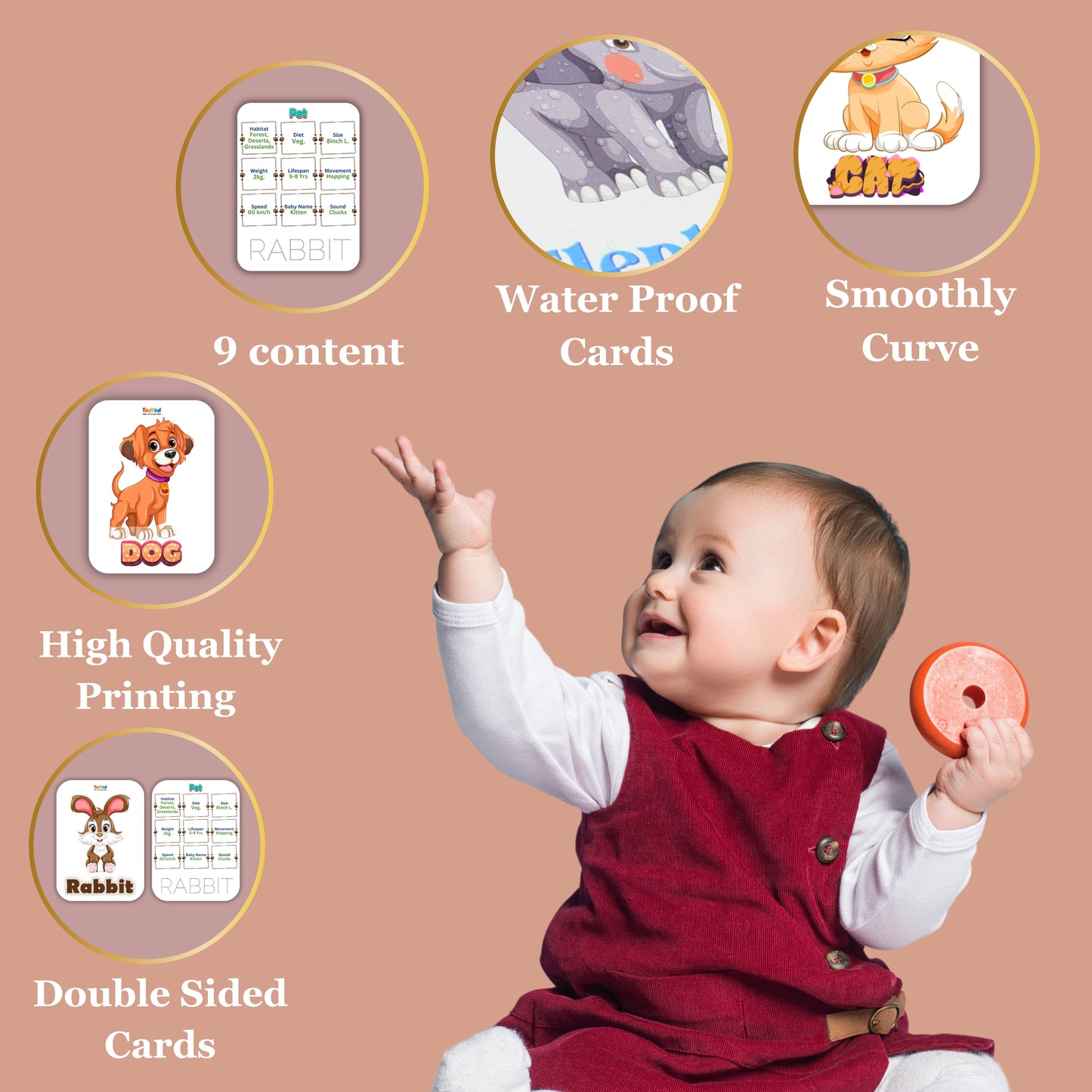 Todfod Re-writable Smart Knowledge Flash Cards for Kids, Educational Early Learning Toy for Toddlers, Preschool, Nursery, and Kindergarten (Alphabets & Animal )