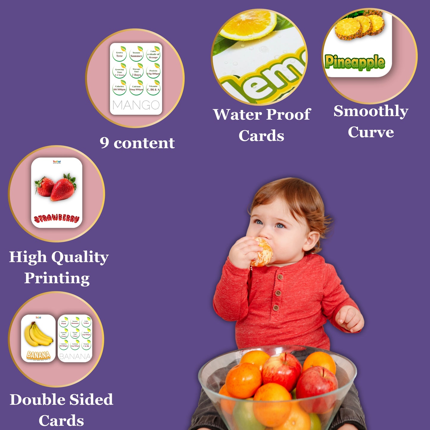 Todfod Early Learn Fruits Flash Cards for Kids