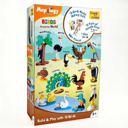 Mapology: Pack of 12 India with Capitals
