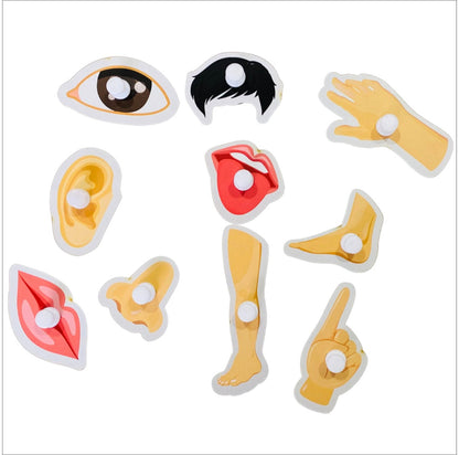 Set of colorful body part stickers on a white background