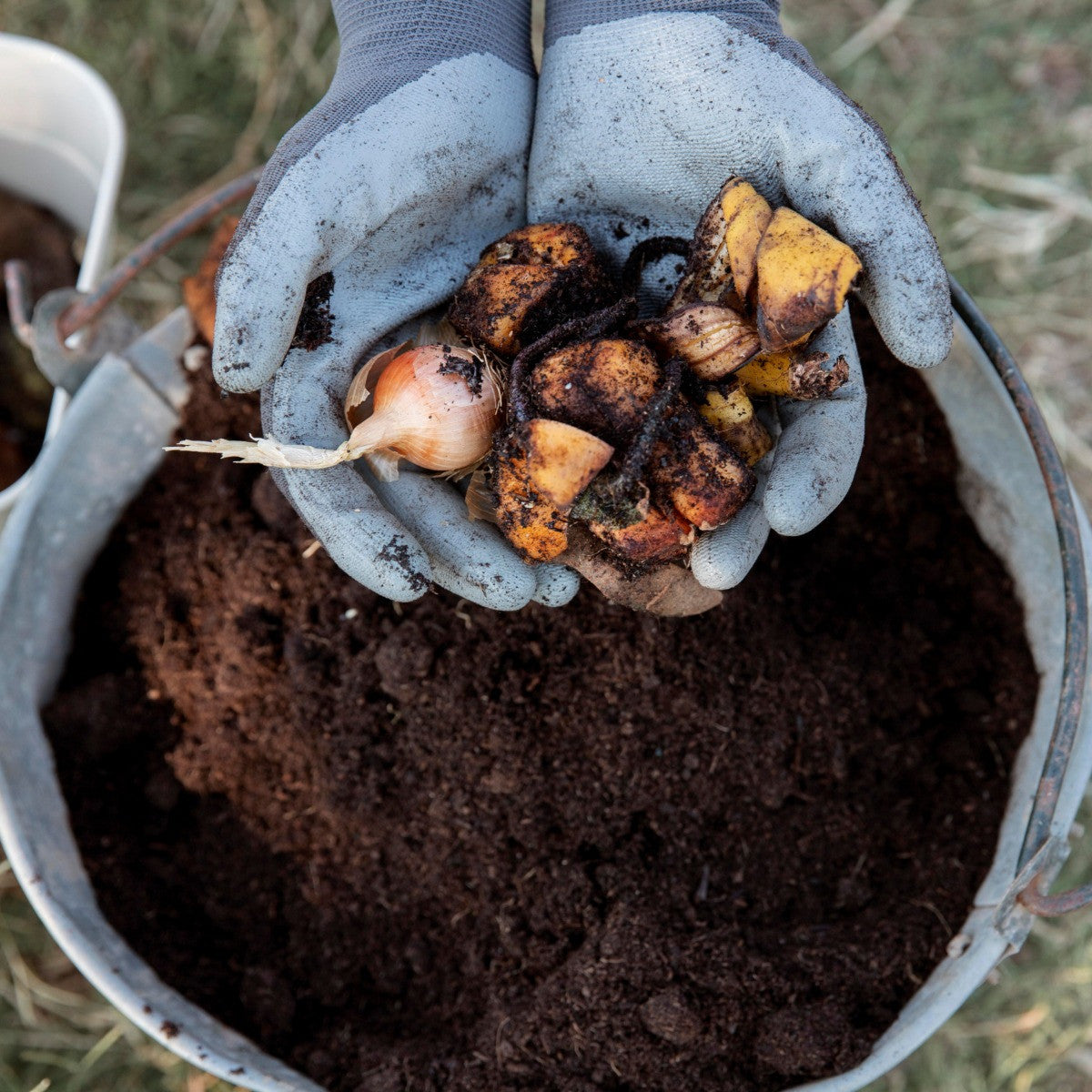 Cow Dung Manure Powder For Plants 5Kg Organic Fertilizers For Plants Home Garden Gobar Khad For Home Garden Plants Cow Dung Compost For Plants Cow Manure