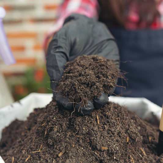 Cow Dung Manure Powder For Plants 5Kg Organic Fertilizers For Plants Home Garden Gobar Khad For Home Garden Plants Cow Dung Compost For Plants Cow Manure