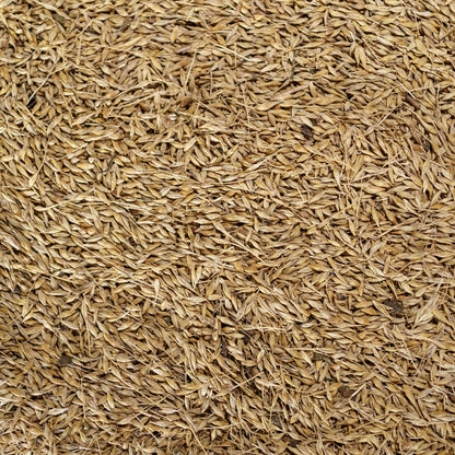 Rice Hulls (Husk) | Organic Rice Paddy Husk for Gardening | Rice Husk for Gardening, Ideal Soil Mix and Mulching | Potting Mix or beding - Organic Plant Rice Husk (500 Grams)