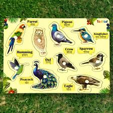Educational children's book with illustrations of various birds on a grassy background