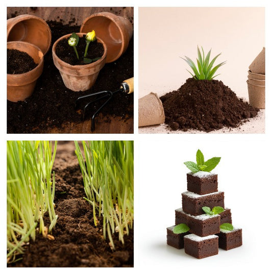 Cocopeat Bricks - 5 KG (Expands Upto 75 litres, 10.5 x 15 cm) - Organic Fertilizer and Soil Manure Potting Mixture for Home Gardening and Potted Plants